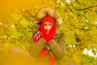 genç güzel artı büyük beyaz kadın pompom ve örme eldiven ile kırmızı şapkalı sonbahar parkta yürüyor