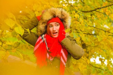 genç güzel artı büyük beyaz kadın pompom ve örme eldiven ile kırmızı şapkalı sonbahar parkta yürüyor