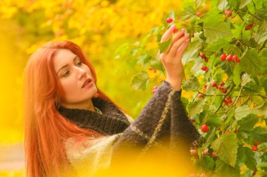 ekose yün poncho genç güzel artı boyutu kafkas kadın sonbahar parkta yürüyor