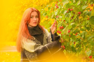 ekose yün poncho genç güzel artı boyutu kafkas kadın sonbahar parkta yürüyor