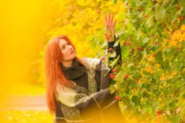 ekose yün poncho genç güzel artı boyutu kafkas kadın sonbahar parkta yürüyor