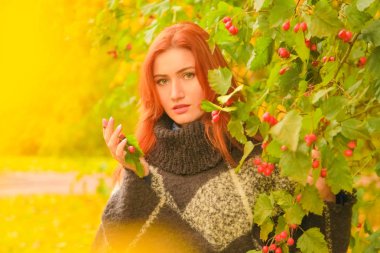 ekose yün poncho genç güzel artı boyutu kafkas kadın sonbahar parkta yürüyor