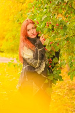 ekose yün poncho genç güzel artı boyutu kafkas kadın sonbahar parkta yürüyor