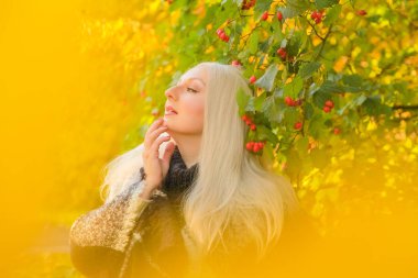 genç güzel artı boyutu kafkas kadın ekose yün poncho sonbahar parkta yürüyor