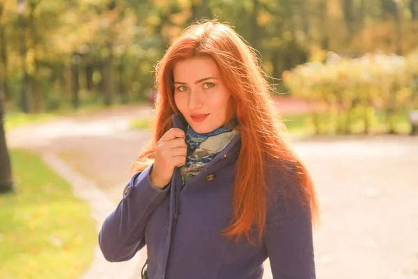 Молодая красивая белая женщина с рыжими волосами в фиолетовой куртке и прогулки в осеннем парке — стоковое фото