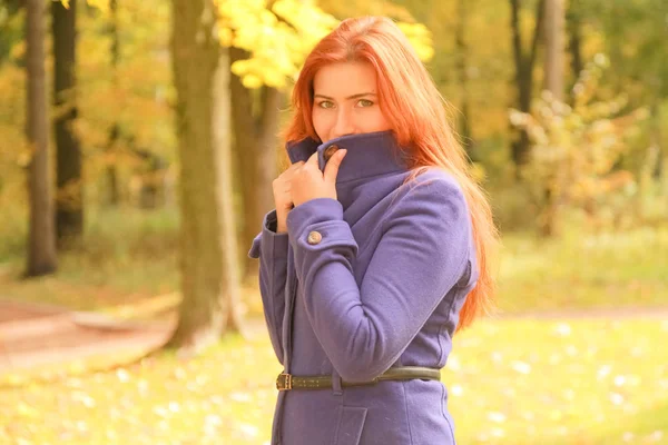Młoda Ładna kaukaski kobieta z czerwonymi włosami ubrana fioletowa kurtka i spacery w jesiennym parku — Zdjęcie stockowe