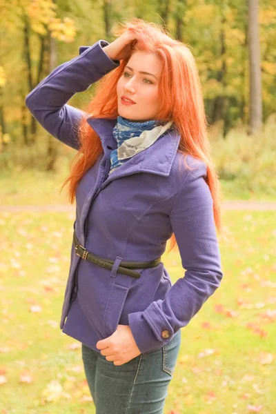 kırmızı saçlı mor ceket giyen genç güzel beyaz kadın ve sonbahar parkı yürüyor
