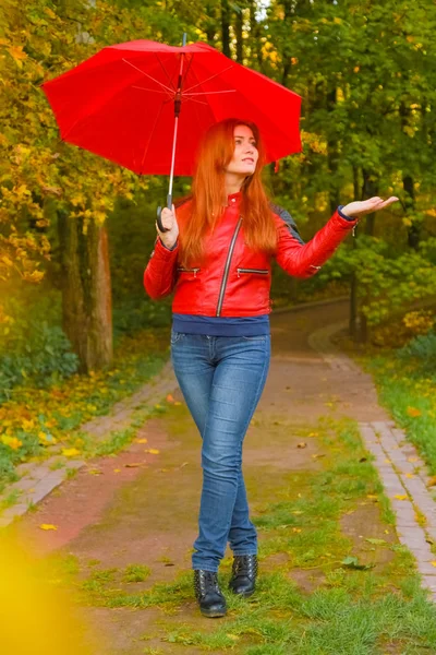 Jonge mooie plus size Kaukasische vrouw wandelingen met rode paraplu in herfst Park — Stockfoto