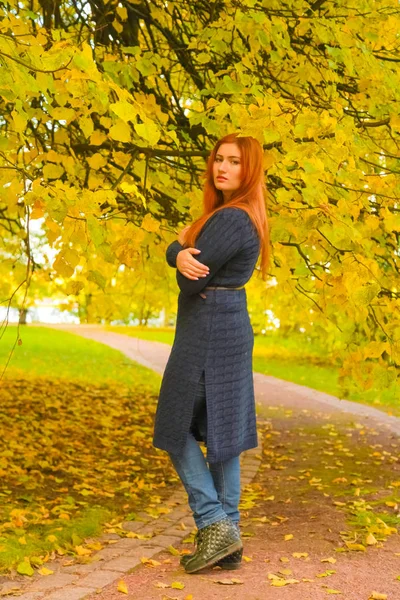 Jovem bonita plus tamanho mulher caucasiana caminha no parque de outono — Fotografia de Stock