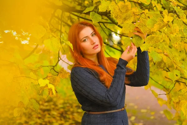 genç güzel artı boyutu kafkas kadın sonbahar parkta yürüyor