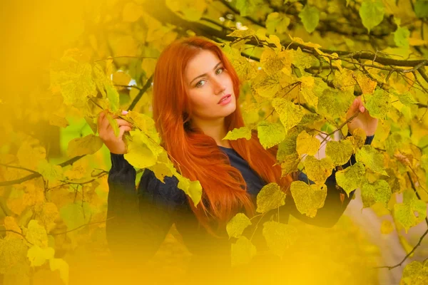 Młody ładny plus rozmiar kaukaski kobieta spacery w Autumn Park — Zdjęcie stockowe