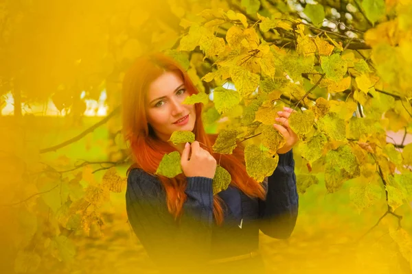 Jonge mooie plus size Kaukasische vrouw wandelingen in herfst Park — Stockfoto