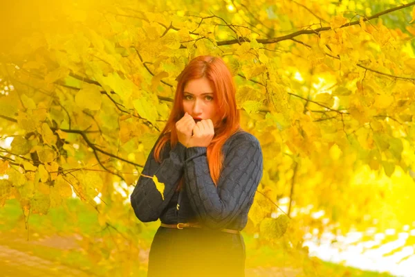 genç güzel artı boyutu kafkas kadın sonbahar parkta yürüyor