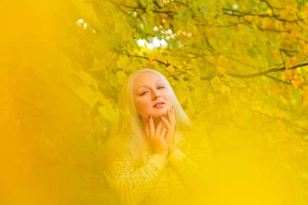 Jovem bonita plus tamanho mulher caucasiana em camisola branca passeios no parque de outono — Fotografia de Stock