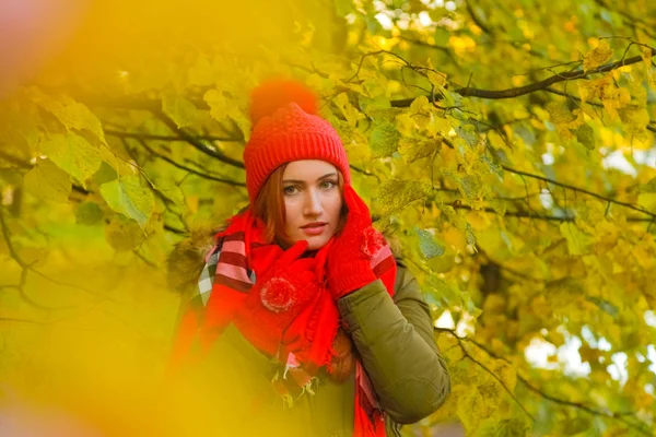 genç güzel artı büyük beyaz kadın pompom ve örme eldiven ile kırmızı şapkalı sonbahar parkta yürüyor