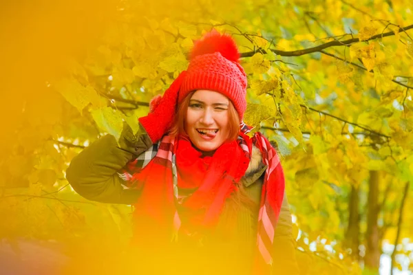 genç güzel artı büyük beyaz kadın pompom ve örme eldiven ile kırmızı şapkalı sonbahar parkta yürüyor