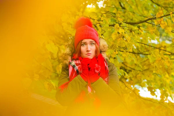 Jonge mooie plus size Kaukasische vrouw in rode hoed met pompom en gebreide handschoenen wandelingen in herfst Park — Stockfoto