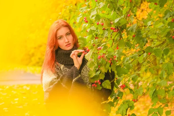 Unga pretty plus size kaukasiska kvinna i pläd ull poncho promenader i höst parken — Stockfoto