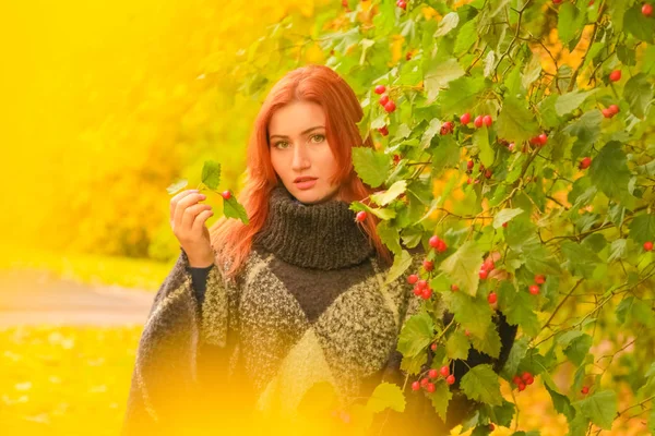 Jonge mooie plus size Kaukasische vrouw in geruite wollen poncho wandelingen in herfst Park — Stockfoto