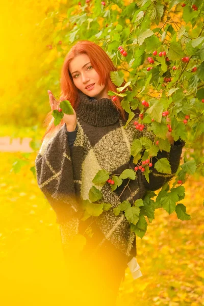 Junge hübsche Plus-Size-Kaukasierin im karierten Wollponcho spaziert im Herbst-Park — Stockfoto