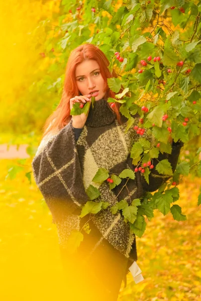 Jovem bonita plus tamanho mulher caucasiana em xadrez lã poncho passeios no parque de outono — Fotografia de Stock