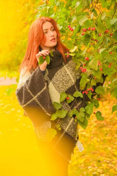 Młody ładny plus rozmiar kaukaski kobieta w Plaid wełny Poncho spacery w jesiennym parku — Zdjęcie stockowe