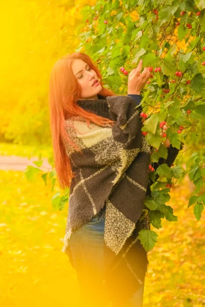 Jonge mooie plus size Kaukasische vrouw in geruite wollen poncho wandelingen in herfst Park — Stockfoto