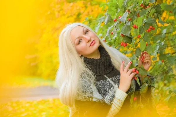 Jonge mooie plus size Kaukasische vrouw geruite wollen poncho wandelingen in herfst Park — Stockfoto