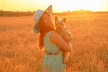 gün batımında buğday alanında küçük sevimli köpek güzel kız sahibi