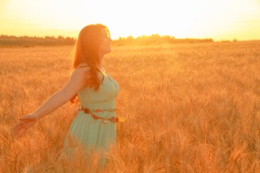 gün batımında altın olgun buğday alanında yürüyen elbiseli kız