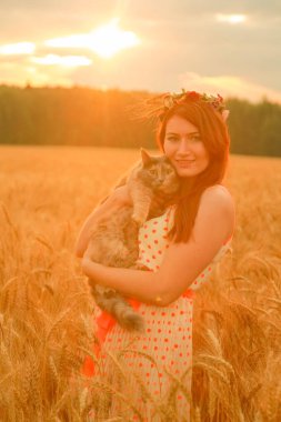Gün batımında buğday tarlasında yürüyen sevimli kedi ile güzel kadın