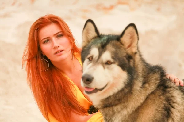 Genç uzun saçlı kadın kum çölünde köpeği alaskan malamute ile poz