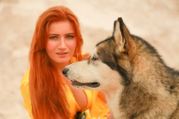 Junge Frau mit langen Haaren posiert mit ihrem Hund alaskan malamute in der Sandwüste — Stockfoto