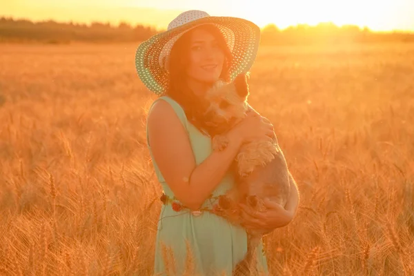 Jolie fille propriétaire d'un petit chien mignon dans le champ de blé au coucher du soleil — Photo