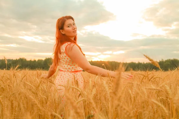 Fille en robe marche dans le champ de blé mûr doré au coucher du soleil — Photo