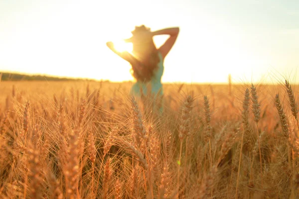 Gün batımında altın olgun buğday alanında yürüyen elbiseli kız — Stok fotoğraf