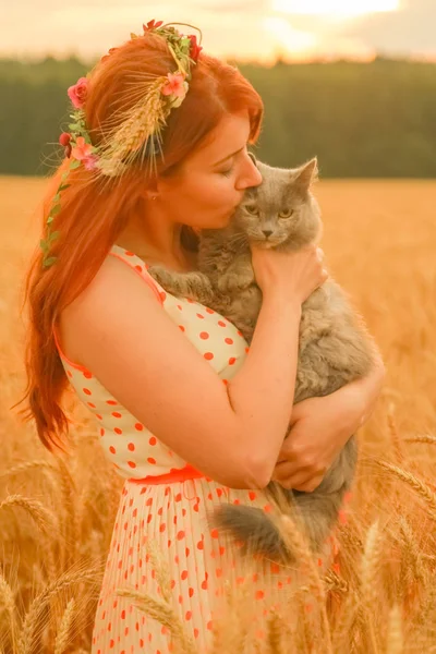 Gün batımında buğday tarlasında yürüyen sevimli kedi ile güzel kadın — Stok fotoğraf