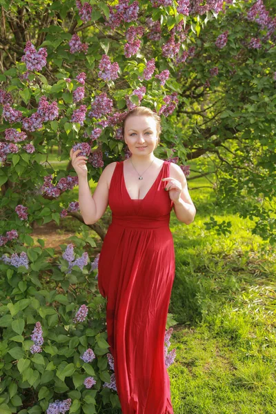 Bonita plus tamanho mulher de cabelo curto em vestido vermelho longo perto de árvore lilás — Fotografia de Stock