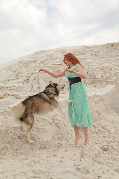 Grappig beste vrienden concept. Gelukkige jonge vrouwelijke persoon loopt in de woestijn met grote hond Malamute buitenshuis — Stockfoto