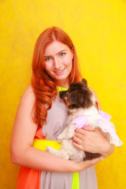 Sevimli güzel genç bayan şık parlak yaz elbise giyen ve beyaz stüdyo arka plan üzerinde sevimli küçük köpek Papillon sarılma sırasında gülümseyen