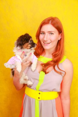 Sevimli güzel genç bayan şık parlak yaz elbise giyen ve beyaz stüdyo arka plan üzerinde sevimli küçük köpek Papillon sarılma sırasında gülümseyen