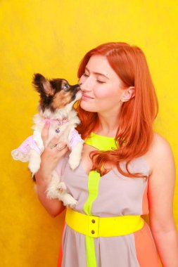 Sevimli güzel genç bayan şık parlak yaz elbise giyen ve beyaz stüdyo arka plan üzerinde sevimli küçük köpek Papillon sarılma sırasında gülümseyen