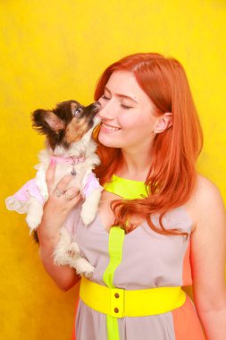 Sevimli güzel genç bayan şık parlak yaz elbise giyen ve beyaz stüdyo arka plan üzerinde sevimli küçük köpek Papillon sarılma sırasında gülümseyen