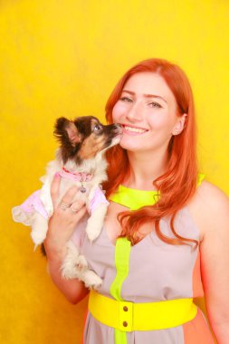 Sevimli güzel genç bayan şık parlak yaz elbise giyen ve beyaz stüdyo arka plan üzerinde sevimli küçük köpek Papillon sarılma sırasında gülümseyen