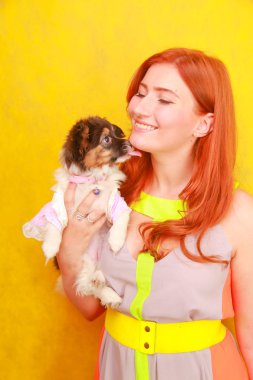 Sevimli güzel genç bayan şık parlak yaz elbise giyen ve beyaz stüdyo arka plan üzerinde sevimli küçük köpek Papillon sarılma sırasında gülümseyen