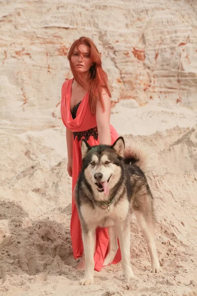 Komik en iyi arkadaş kavramı. Mutlu genç kadın kişi açık havada büyük köpek malamute ile çölde yürüyor