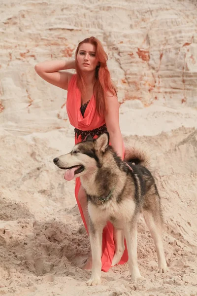 Grappig beste vrienden concept. Gelukkige jonge vrouwelijke persoon loopt in de woestijn met grote hond Malamute buitenshuis — Stockfoto
