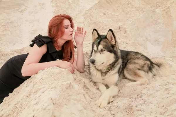 Grappig beste vrienden concept. Gelukkige jonge vrouwelijke persoon loopt in de woestijn met grote hond Malamute buitenshuis — Stockfoto