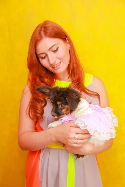 Mignonne jolie jeune dame portant élégant lumineux robe d'été et souriant tout en embrassant adorable petit chiot Papillon sur fond de studio blanc — Photo