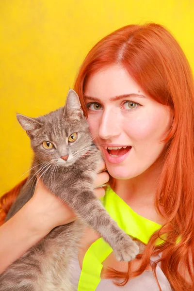 Hezká mladá rusovlasá dívka v dlouhých pestrobarevné letní šatech se svou roztomilá kamarádkou šedou kočkou na žlutém, jasným studiovém pozadí — Stock fotografie